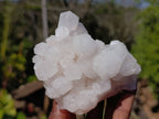 Natural Candle Quartz Clusters x 2 From Madagascar - Toprock Gemstones and Minerals 