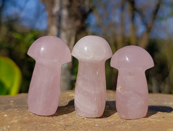 Polished Rose Quartz Mushrooms x 28 From Madagascar