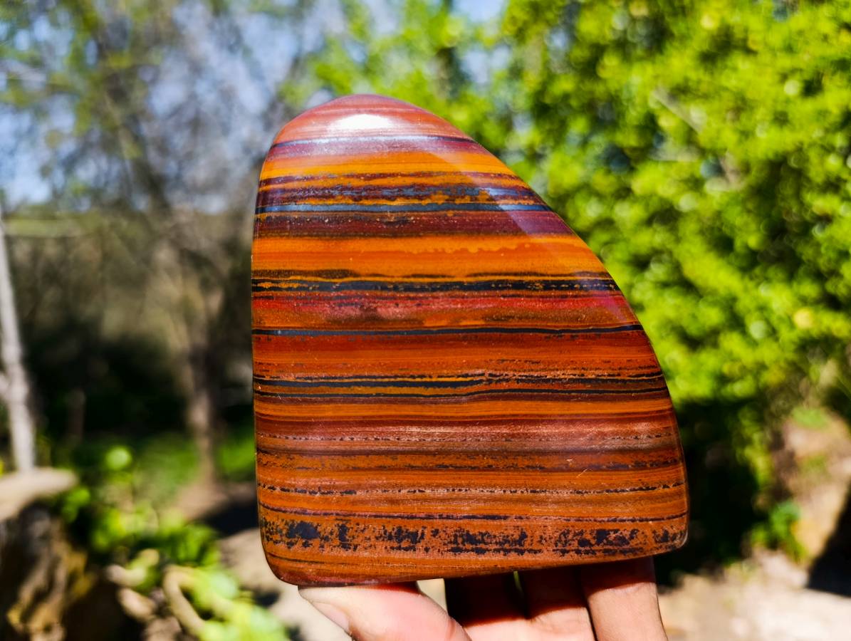 Polished Tiger Iron Jasper Standing Free Forms x 3 From South Africa - Toprock Gemstones and Minerals 