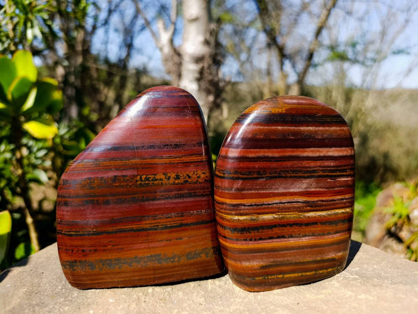 Polished Tiger Iron Jasper Standing Free Forms x 3 From South Africa