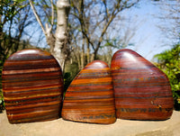Polished Tiger Iron Jasper Standing Free Forms x 3 From South Africa