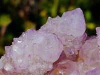 Natural Amethyst Spirit Quartz Cluster x 1 From South Africa