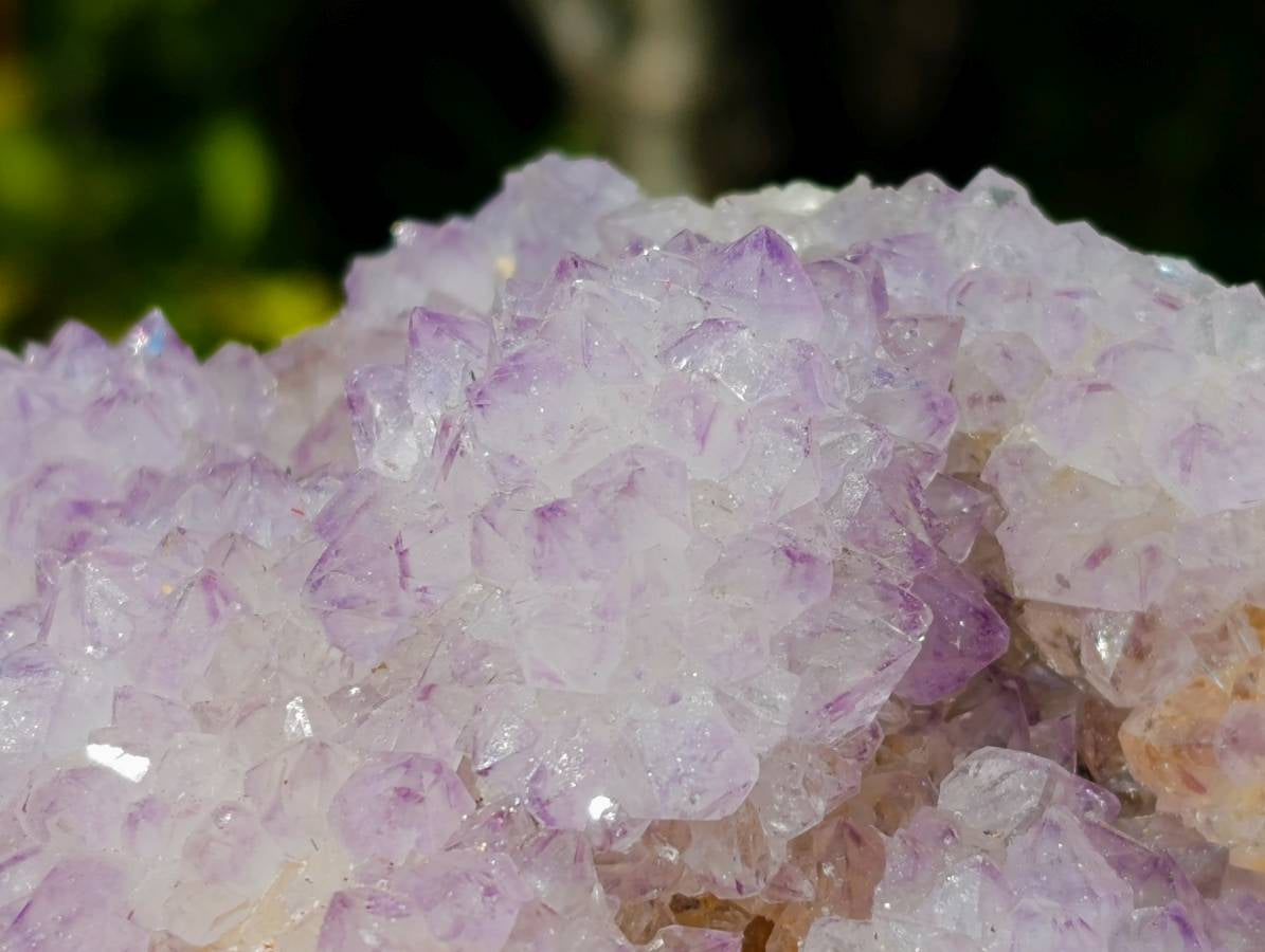 Natural Amethyst Spirit Quartz Cluster x 1 From South Africa - Toprock Gemstones and Minerals 