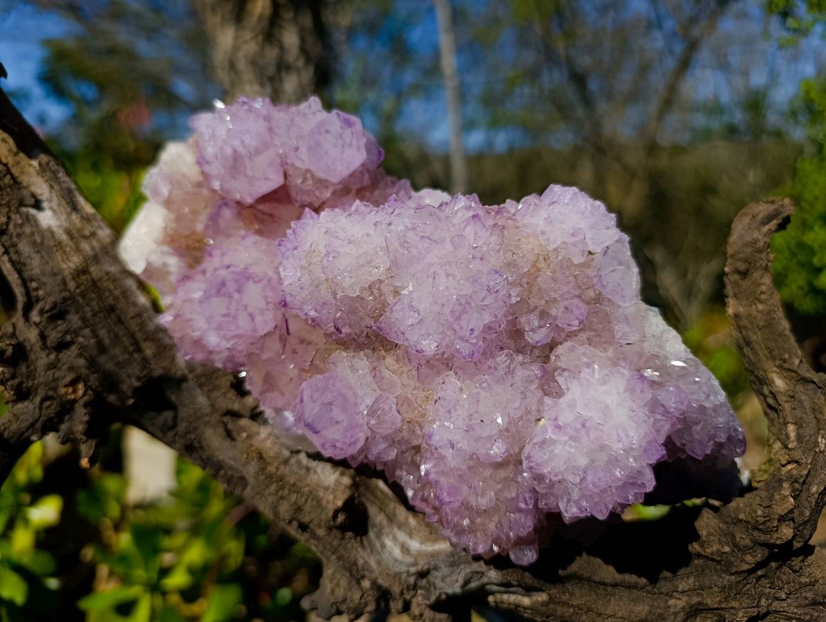 Natural Amethyst Spirit Quartz Cluster x 1 From South Africa - Toprock Gemstones and Minerals 
