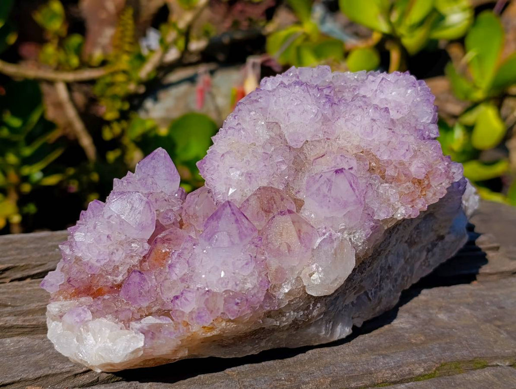 Natural Amethyst Spirit Quartz Cluster x 1 From South Africa - Toprock Gemstones and Minerals 