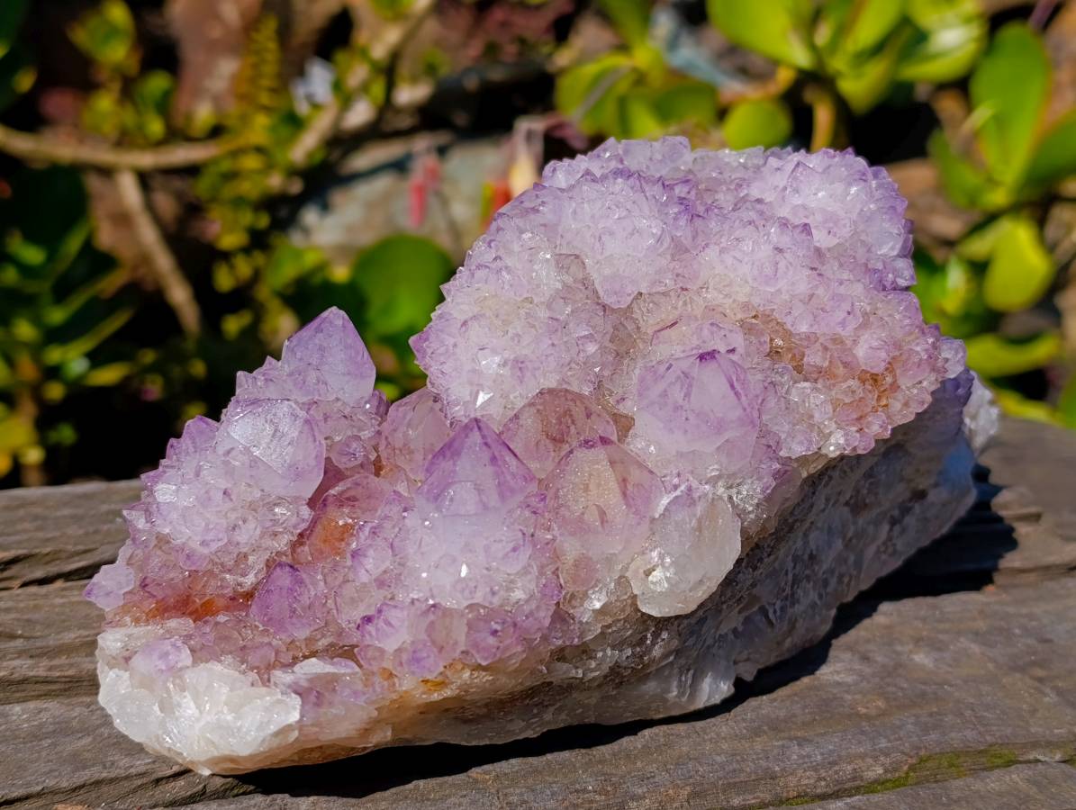 Natural Amethyst Spirit Quartz Cluster x 1 From South Africa - Toprock Gemstones and Minerals 