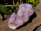 Natural Amethyst Spirit Quartz Cluster x 1 From South Africa - Toprock Gemstones and Minerals 