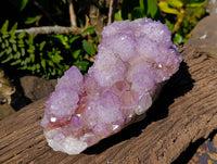 Natural Amethyst Spirit Quartz Cluster x 1 From South Africa