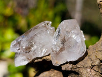 Natural Smokey Quartz Crystals x 35 From Brandberg, Namibia