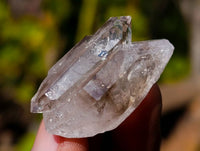 Natural Smokey Quartz Crystals x 35 From Brandberg, Namibia