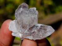 Natural Smokey Quartz Crystals x 35 From Brandberg, Namibia
