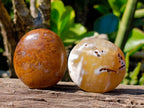 Polished Carnelian Agate Palm Stones x 12 From Madagascar - Toprock Gemstones and Minerals 