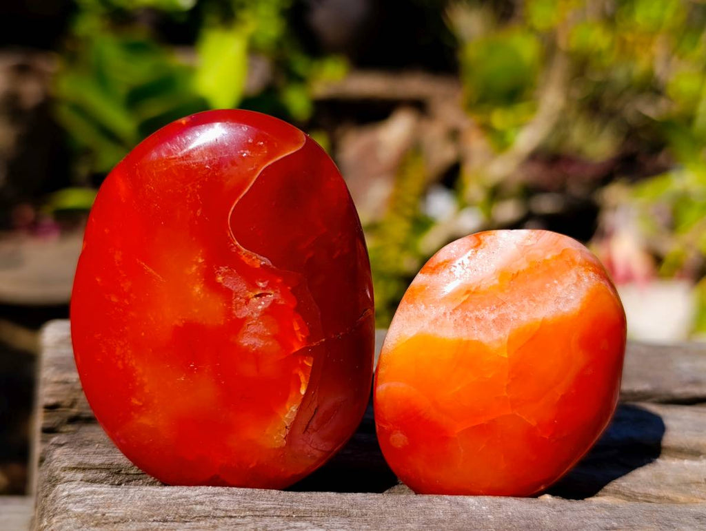 Polished Carnelian Agate Palm Stones x 12 From Madagascar - Toprock Gemstones and Minerals 