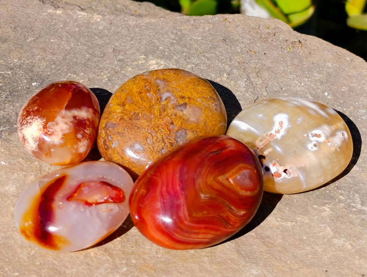 Polished Carnelian Agate Palm Stones x 12 From Madagascar - Toprock Gemstones and Minerals 