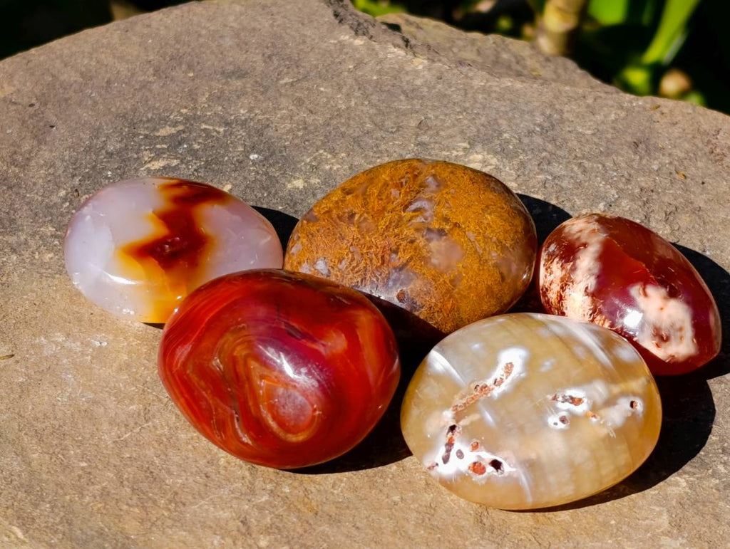 Polished Carnelian Agate Palm Stones x 12 From Madagascar - Toprock Gemstones and Minerals 