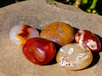 Polished Carnelian Agate Palm Stones x 12 From Madagascar - Toprock Gemstones and Minerals 