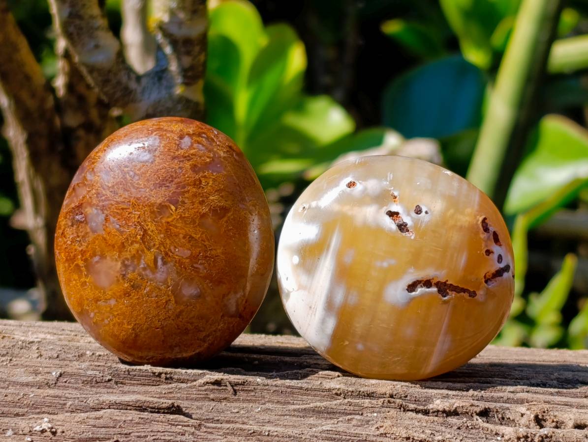 Polished Carnelian Agate Palm Stones x 12 From Madagascar - Toprock Gemstones and Minerals 