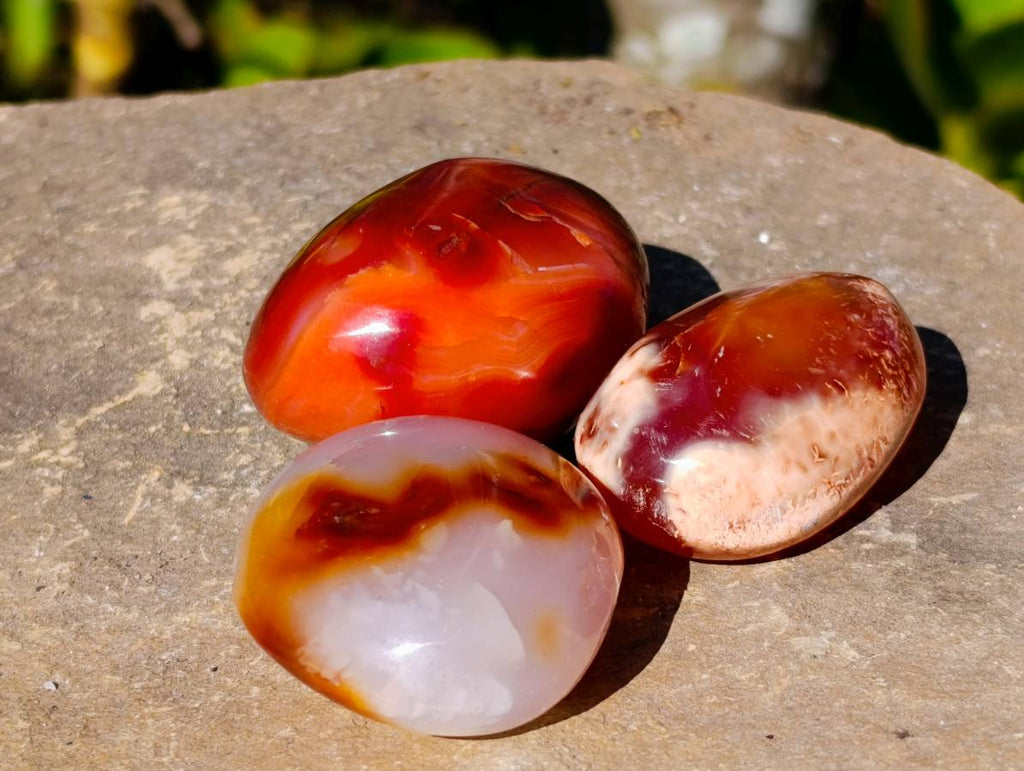 Polished Carnelian Agate Palm Stones x 12 From Madagascar - Toprock Gemstones and Minerals 