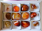 Polished Carnelian Agate Palm Stones x 12 From Madagascar - Toprock Gemstones and Minerals 