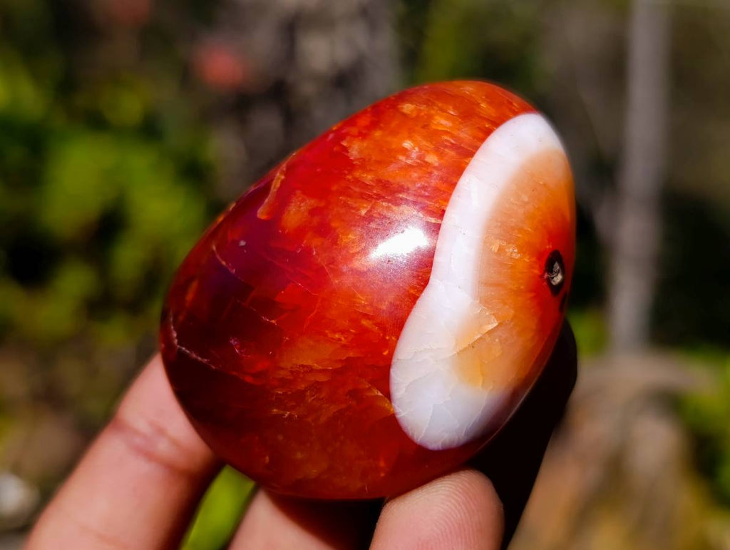 Polished Carnelian Agate Palm Stones x 12 From Madagascar - Toprock Gemstones and Minerals 