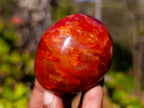 Polished Carnelian Agate Palm Stones x 12 From Madagascar - Toprock Gemstones and Minerals 