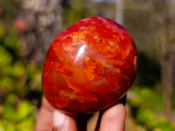Polished Carnelian Agate Palm Stones x 12 From Madagascar