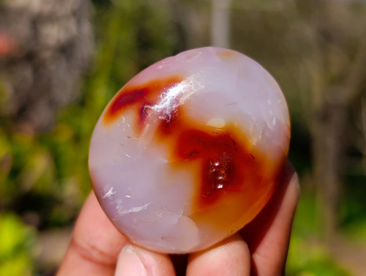 Polished Carnelian Agate Palm Stones x 12 From Madagascar - Toprock Gemstones and Minerals 
