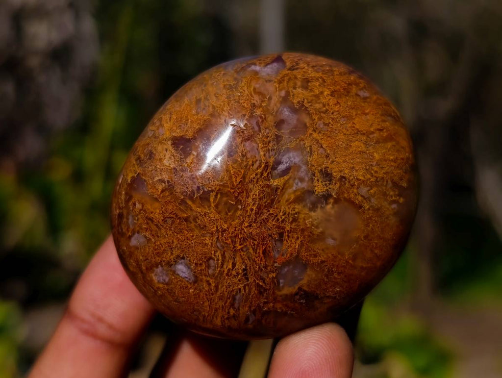 Polished Carnelian Agate Palm Stones x 12 From Madagascar - Toprock Gemstones and Minerals 