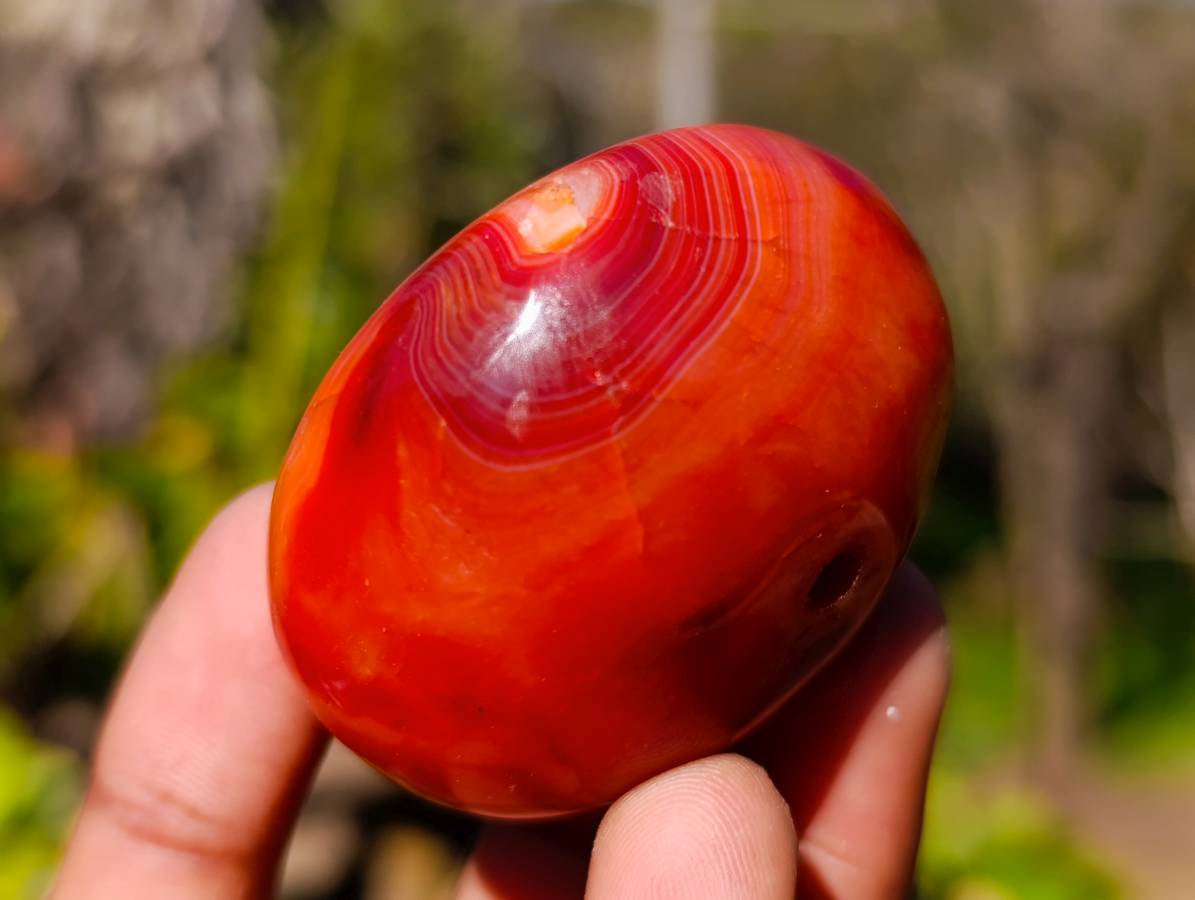 Polished Carnelian Agate Palm Stones x 12 From Madagascar - Toprock Gemstones and Minerals 