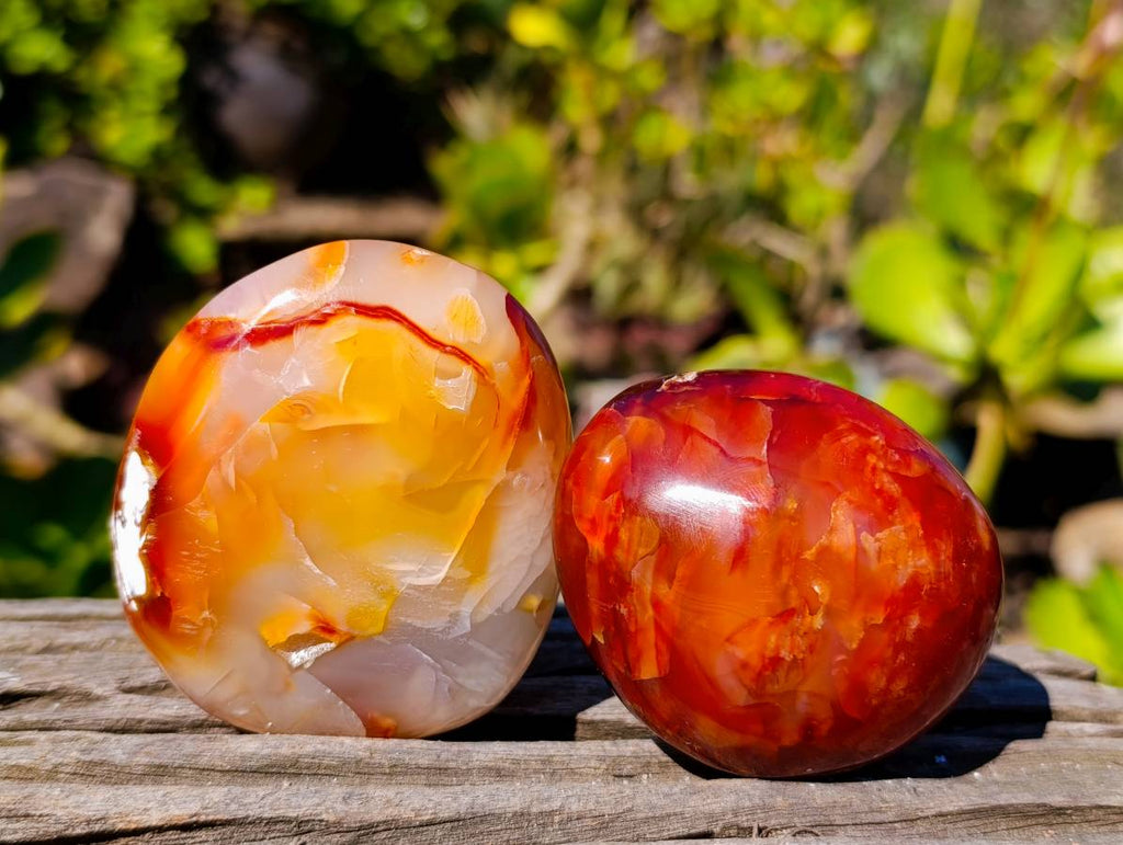 Polished Carnelian Agate Palm Stones x 12 From Madagascar - Toprock Gemstones and Minerals 
