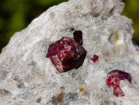 Natural Red Pyrope Garnet Crystals in Quartz Feldspar Matrix x 17 From Namibia