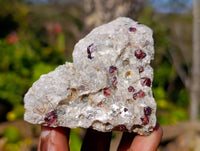 Natural Red Pyrope Garnet Crystals in Quartz Feldspar Matrix x 17 From Namibia