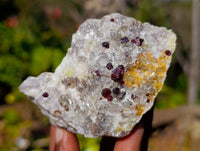 Natural Red Pyrope Garnet Crystals in Quartz Feldspar Matrix x 17 From Namibia