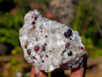 Natural Red Pyrope Garnet Crystals in Quartz Feldspar Matrix x 17 From Namibia
