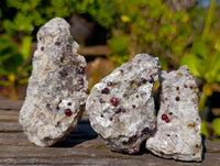 Natural Red Pyrope Garnet Crystals in Quartz Feldspar Matrix x 17 From Namibia