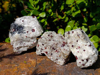 Natural Red Pyrope Garnet Crystals in Quartz Feldspar Matrix x 17 From Namibia