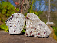Natural Red Pyrope Garnet Crystals in Quartz Feldspar Matrix x 17 From Namibia