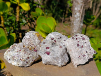 Natural Red Pyrope Garnet Crystals in Quartz Feldspar Matrix x 17 From Namibia