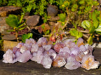 Natural Amethyst Spirit Quartz Specimens x 35 From South Africa - Toprock Gemstones and Minerals 