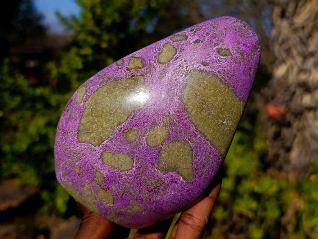 Polished Stichtite Standing Free Forms x 2 From Barberton, South Africa - Toprock Gemstones and Minerals 