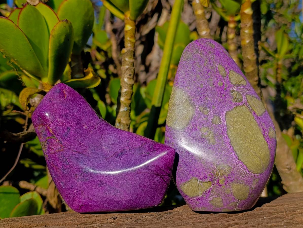 Polished Stichtite Standing Free Forms x 2 From Barberton, South Africa - Toprock Gemstones and Minerals 