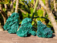 Natural Silky Malachite Specimens x 12 From Kasompe, Congo
