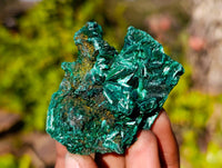 Natural Silky Malachite Specimens x 12 From Kasompe, Congo