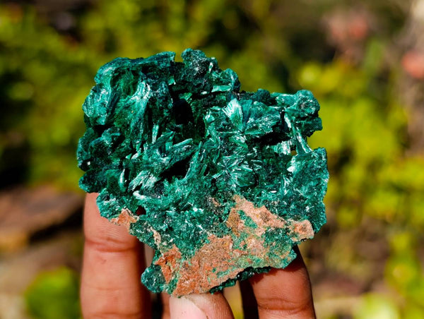 Natural Silky Malachite Specimens x 12 From Kasompe, Congo