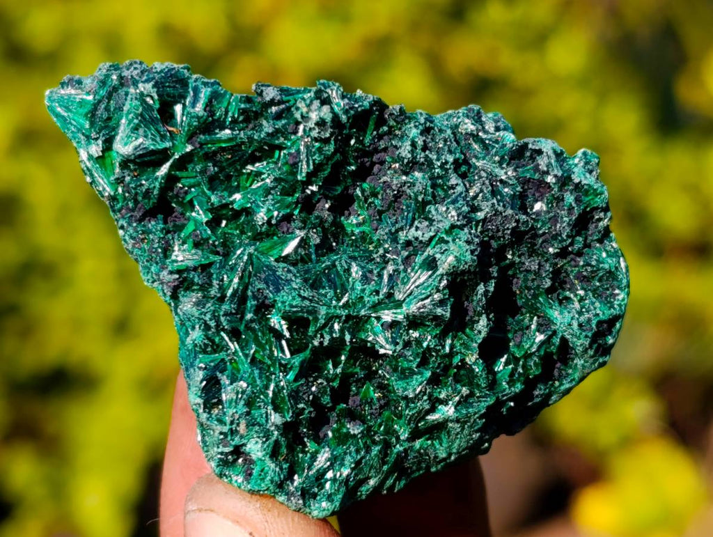 Natural Silky Malachite Specimens x 12 From Kasompe, Congo - Toprock Gemstones and Minerals 