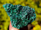 Natural Silky Malachite Specimens x 12 From Kasompe, Congo - Toprock Gemstones and Minerals 