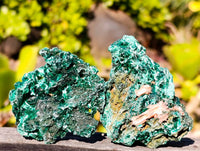 Natural Silky Malachite Specimens x 12 From Kasompe, Congo