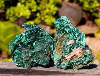 Natural Silky Malachite Specimens x 12 From Kasompe, Congo