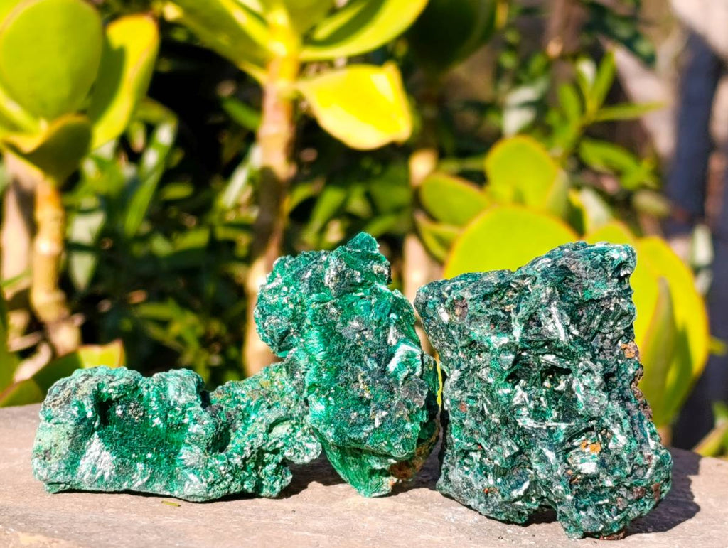 Natural Silky Malachite Specimens x 12 From Kasompe, Congo - Toprock Gemstones and Minerals 