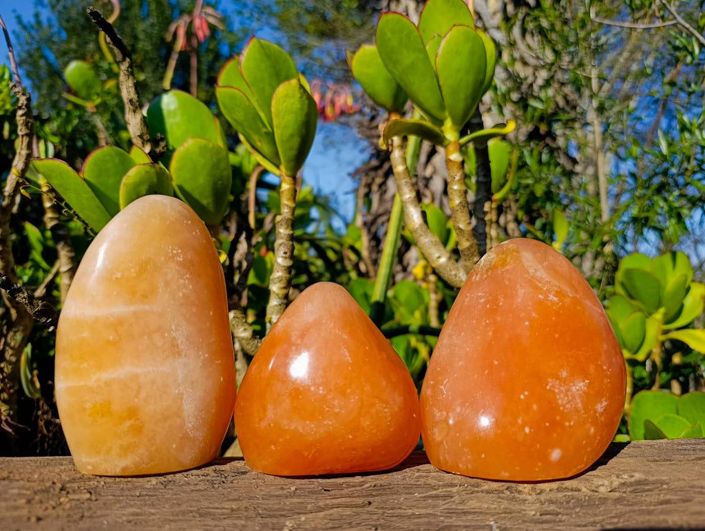 Polished Orange Twist Calcite Standing Free Forms x 3 From Madagascar - Toprock Gemstones and Minerals 